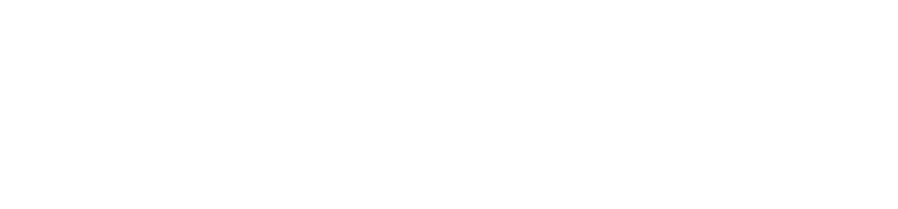 Washtec